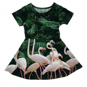 Romey Loves Lulu skater dress Flamingos